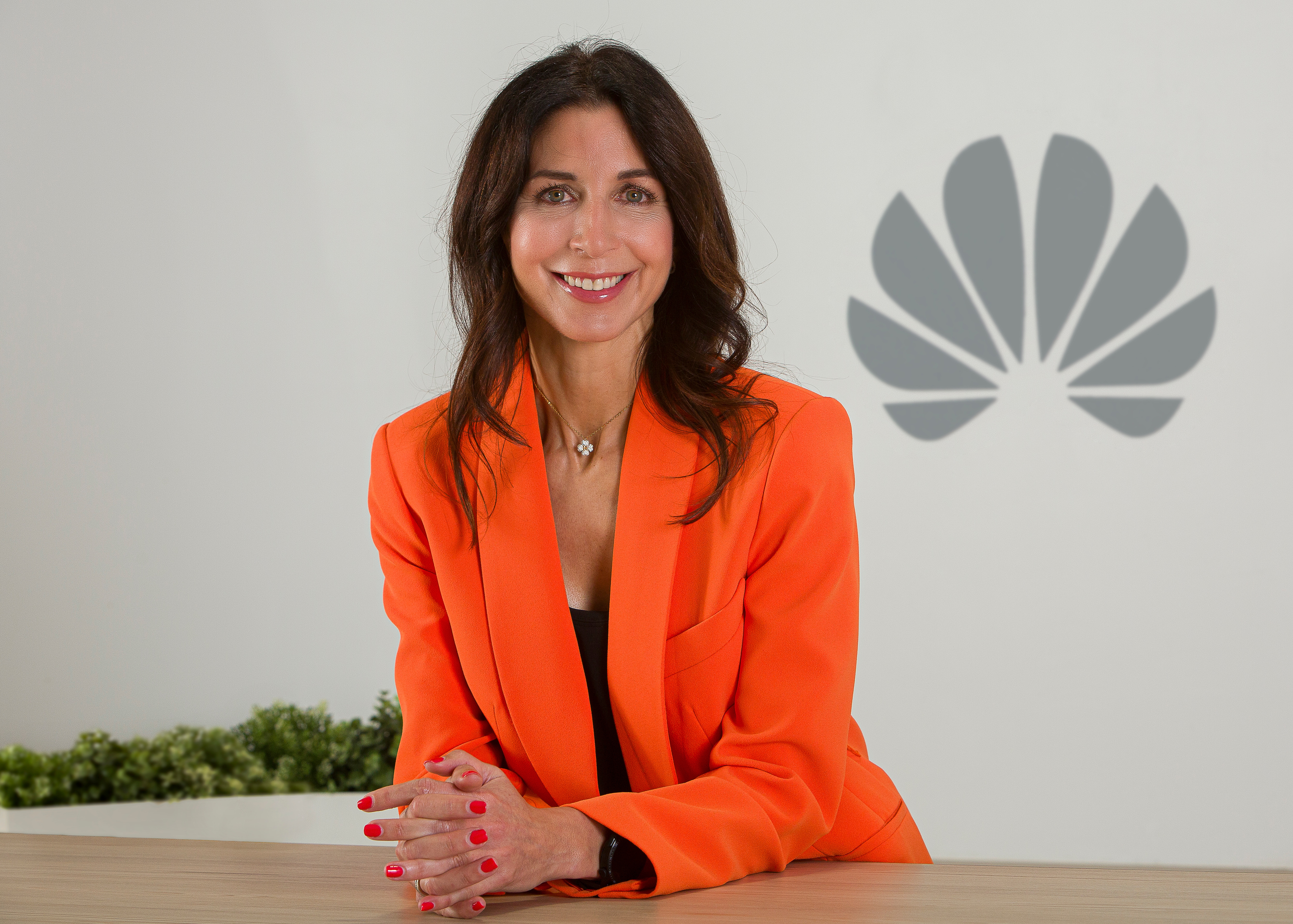 Carmen Gonzalez Gens Vicepresidenta Huawei Espaa